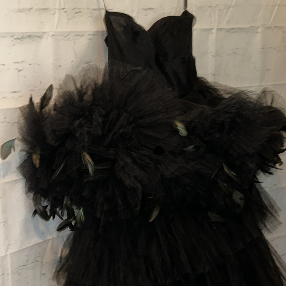 Mac Duggal Black Strapless Tulle Gown with Feather Detail - Picture 9 of 16